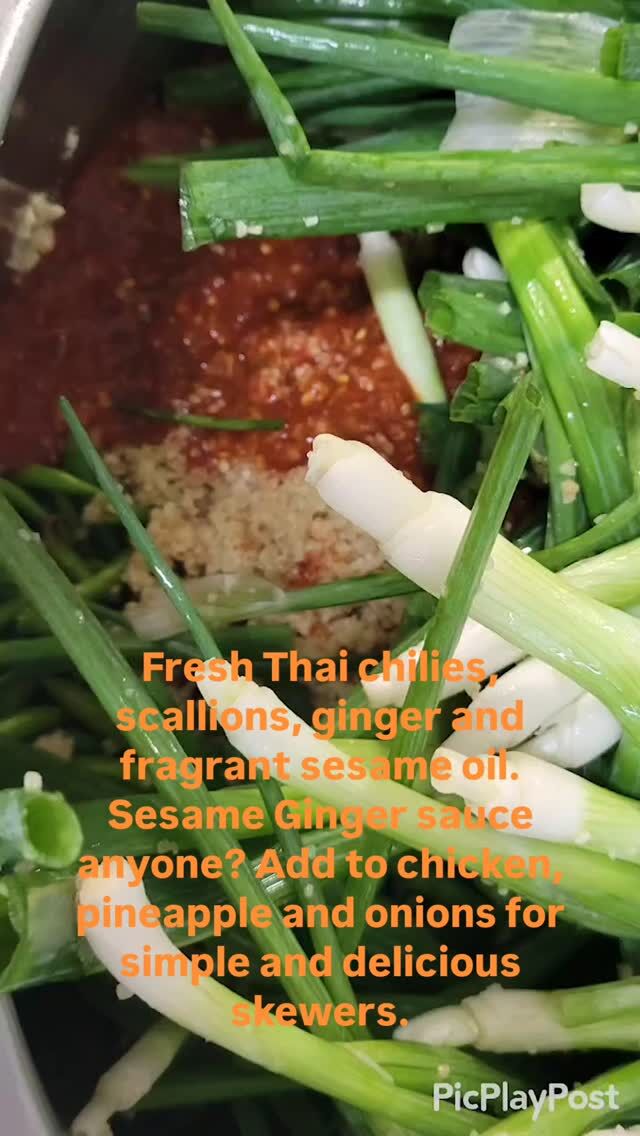 A day in the life of a Sauceress ! 

Today, we made our smokey spiced Sesame ginger!

Tonight , we used it for delicious skewers. Chicken, pork, pineapple and onions. 

SO easy and so yummy!

#skewers
#keto
#handcrafted
#sauce
#asian fusion